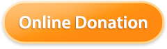 Online Donation Button